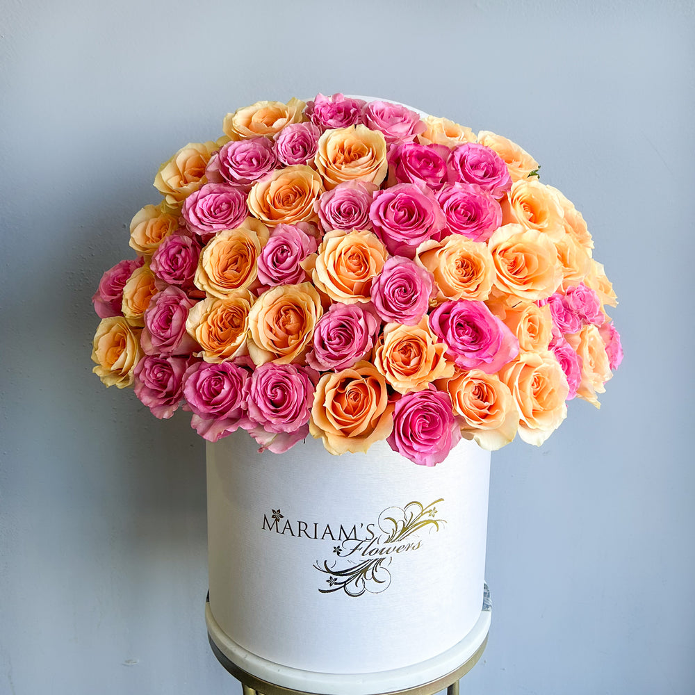 Pink and Peach Rose Classic