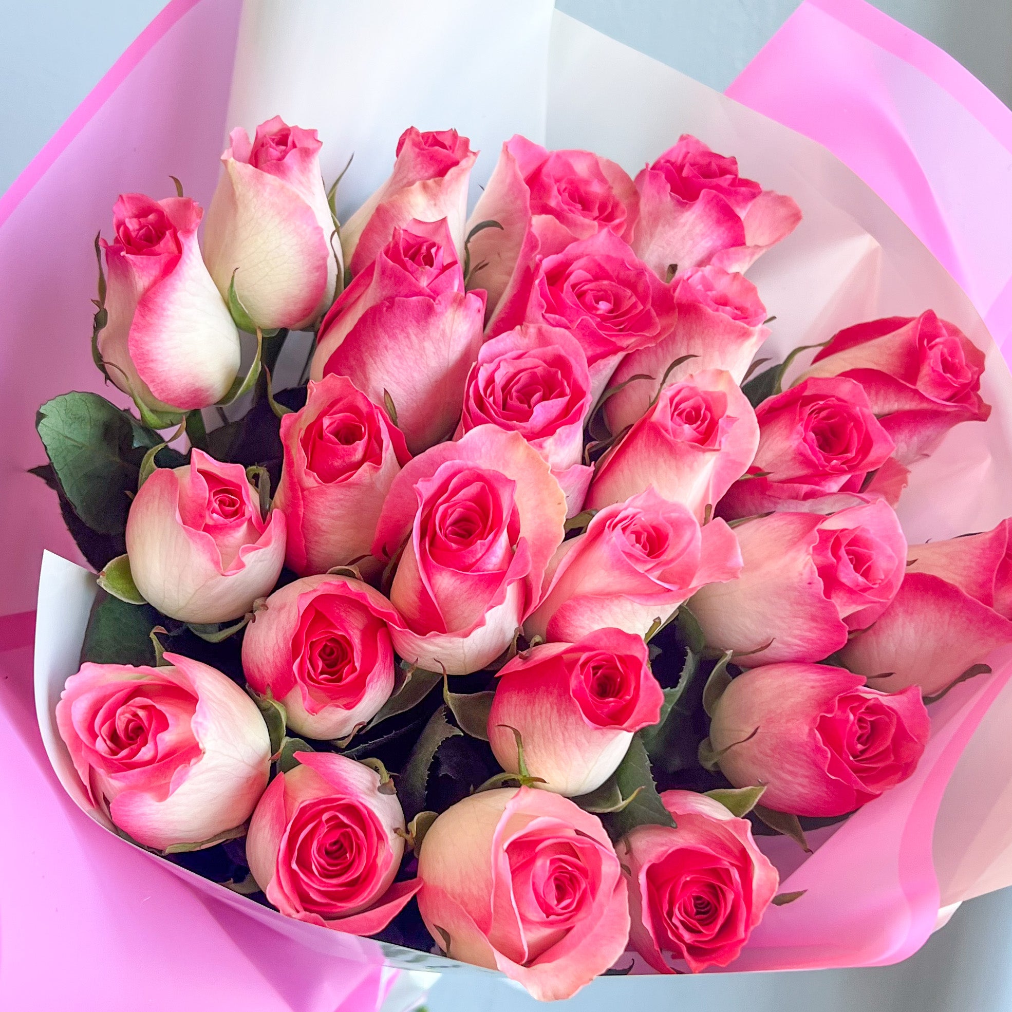 A beautiful bouquet of pink roses in a pink paper bag, representing the Malibu Roses No Filler collection