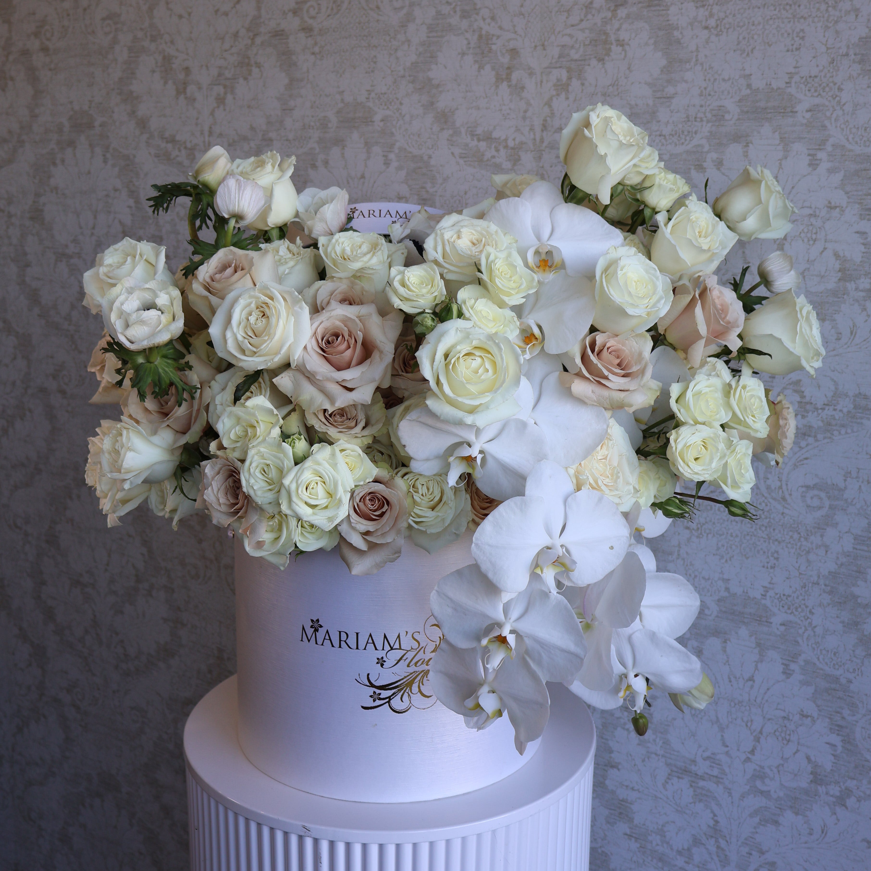 Valentine Pearl Orchid