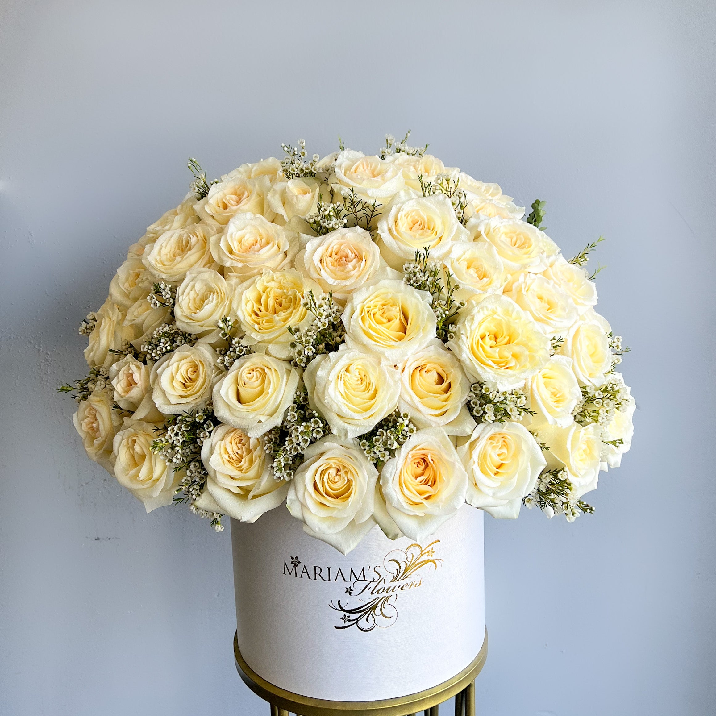 Cream Rose Classic