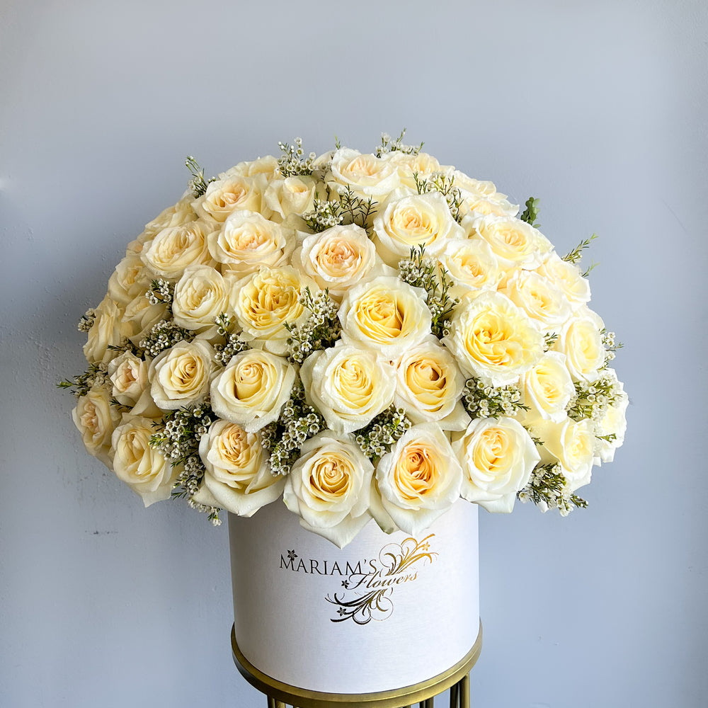 Cream Rose Classic