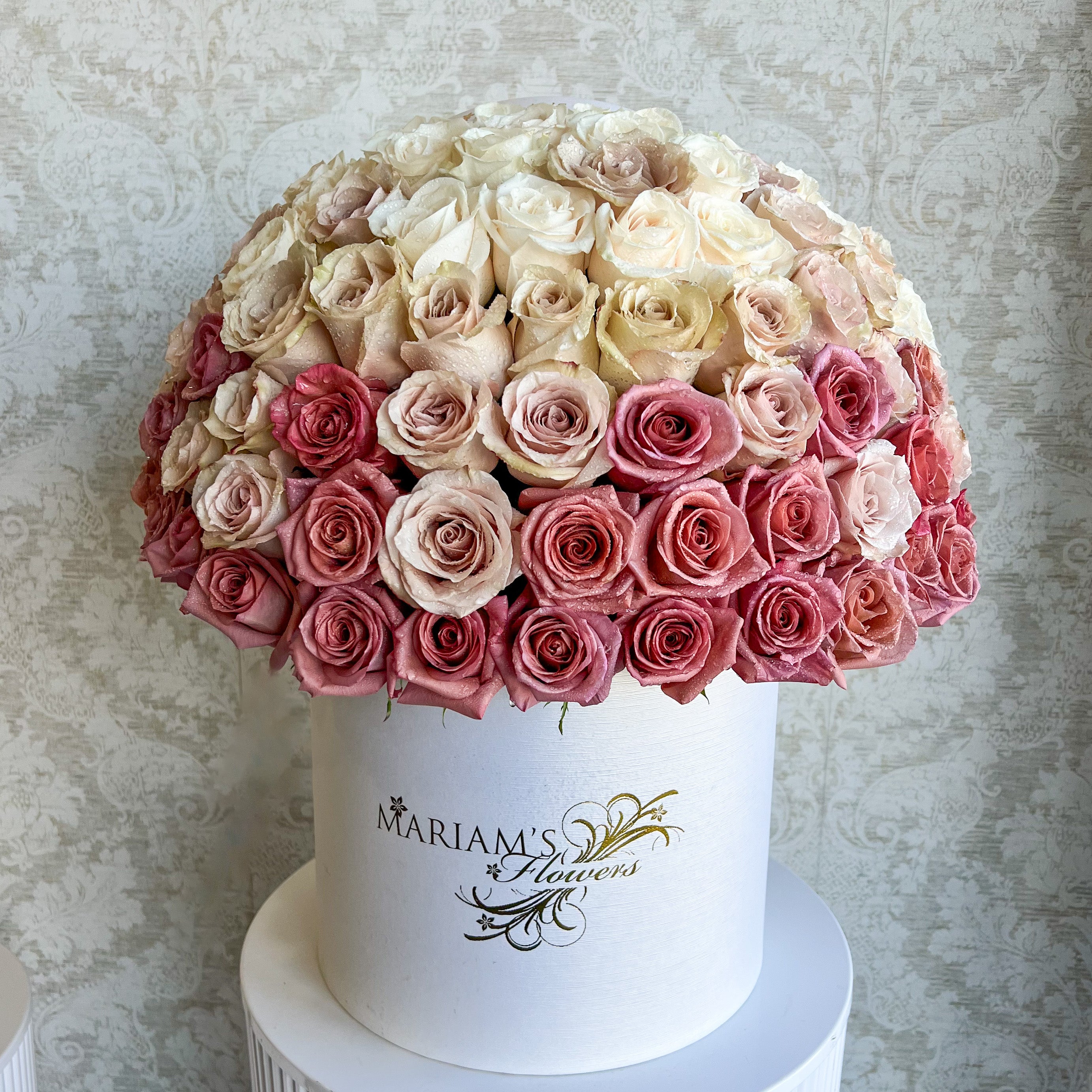 Desert Blush Rose Classic