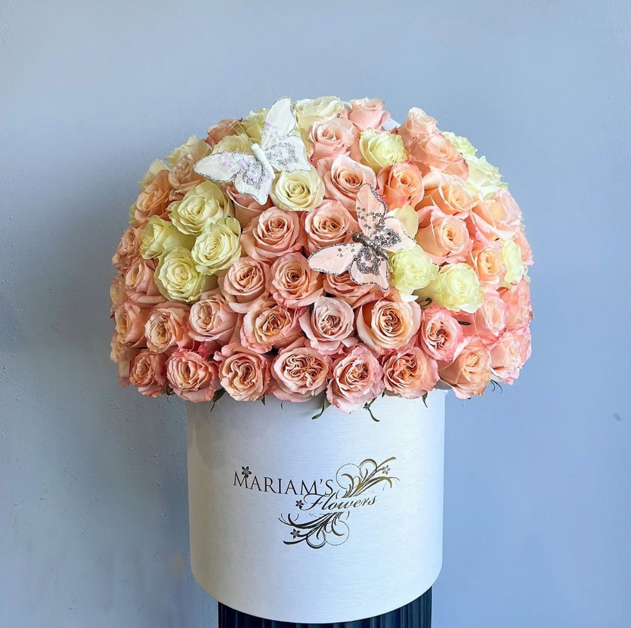 Peach and white Rose Classic