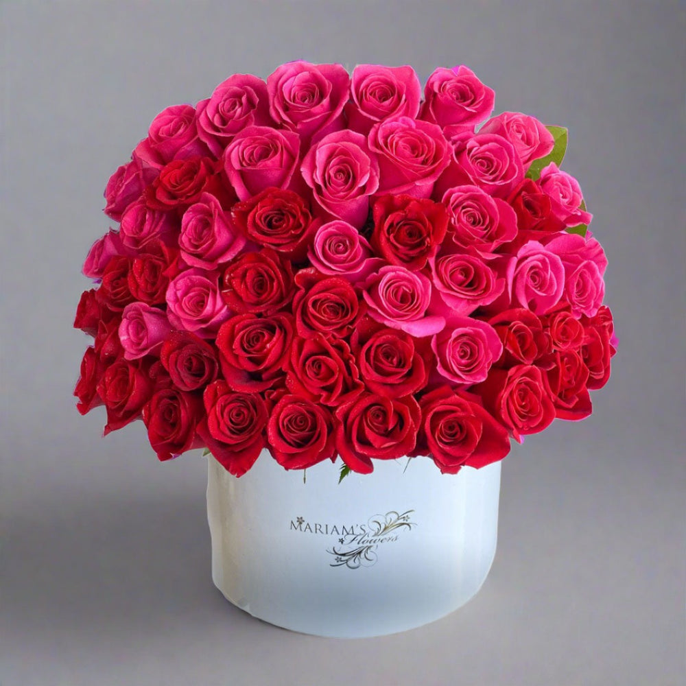 Fuchsia Rose Classic
