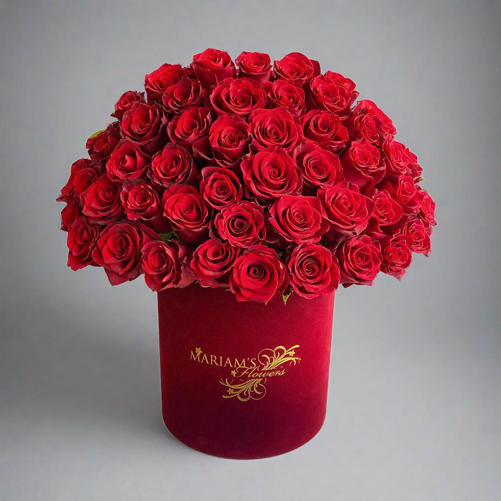 Red Rose Classic in Burgundy Velvet box